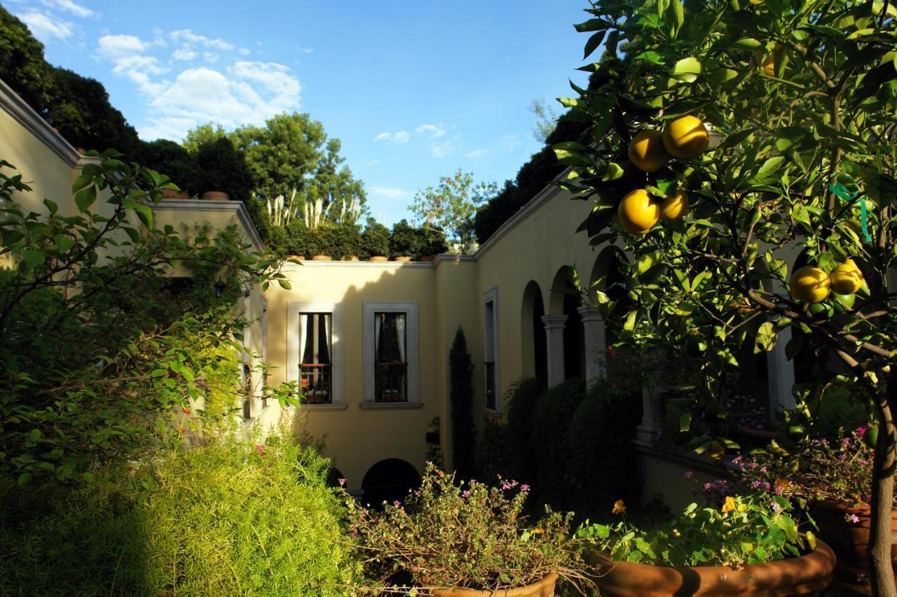 Casa Misha Hotel San Miguel de Allende Exterior foto